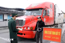 Lực lượng chức năng tại cửa khẩu quốc tế Hữu Nghị (Lạng Sơn) kiểm tra thủ tục chủ phương tiện chở hàng hóa. (Ảnh: Văn Đạt/TTXVN)