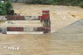 Ảnh minh họa. (Ảnh: Hương Thu/TTXVN)