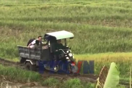 Đắk Lắk: Mệnh lệnh “thần tốc Quang Trung” từ trái tim người lính