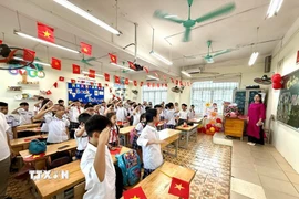 Ảnh minh họa. (Ảnh: TTXVN phát)