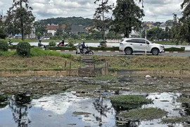 Tình trạng ô nhiễm ở một hồ nước tại thành phố Đà Lạt. (Ảnh: Nguyễn Dũng/TTXVN)