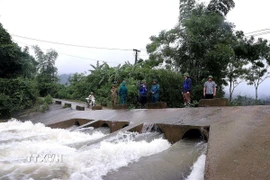 Mực nước sông Bùi tại trạm thủy văn Lâm Sơn đã lên 23,04m, trên báo động 2 là 0,54m. (Ảnh: TTXVN)