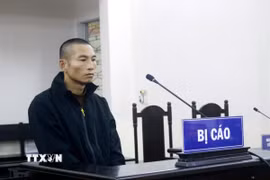Bị cáo Phạm Ngọc Hà. (Ảnh: TTXVN phát)