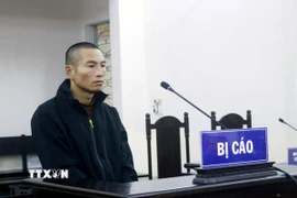 Bị cáo Phạm Ngọc Hà. (Ảnh: TTXVN phát)