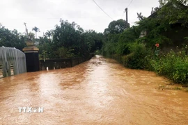 Nhiều tuyến đường thôn ở xã Ái Tử bị ngập sâu. (Ảnh: Tường Vi/TTXVN)