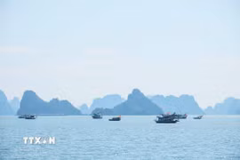 Vịnh Hạ Long. (Ảnh: Hoàng Hiếu/TTXVN)