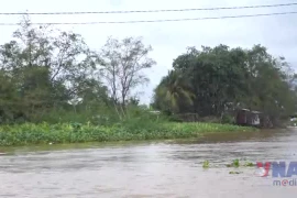 Cần Thơ: Vỡ đê cồn Sơn khi triều cường lên cao vượt mốc lịch sử