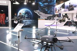 Ảnh minh họa. (Nguồn: Khánh Vân/TTXVN) 