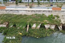 Một đoạn kè Thường Thới Tiền (huyện Hồng Ngự) bị sạt lở gây hư hỏng toàn bộ phần chân kè và một phần mái kè. (Ảnh: Nhựt An/TTXVN)