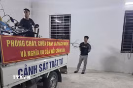 Lực lượng chức năng tỉnh Ninh Bình kiên quyết đấu tranh với tình trạng khai thác, vận chuyển cây Muội hồng trên địa bàn. (Ảnh: TTXVN phát)