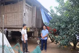 Ngôi nhà cũ dột, nát của một hộ gia đình ở Hòa Bình. (Ảnh: Thanh Hải/TTXVN)