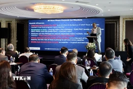 Diễn đàn kết nối thông tin lúa gạo (SSricenews Network) năm 2025. (Ảnh: Xuân Anh/TTXVN)