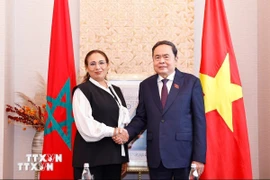 Chủ tịch Quốc hội Trần Thanh Mẫn tiếp bà Lubna Srhiri, Chủ tịch Nhóm Nghị sỹ Hữu nghị Maroc-Việt Nam. (Ảnh: Doãn Tấn/TTXVN)
