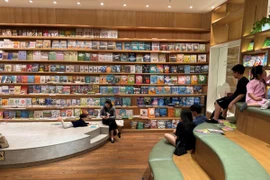 Ảnh minh họa. (Vietnam+)