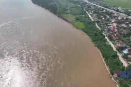 Thông tin “Vỡ đê hữu Thao ở Phú Thọ” là không chính xác