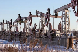 Hoạt động bơm dầu tại giếng dầu Gremikhinskoye ở Izhevsk, vùng Ural, Liên bang Nga. (Ảnh: TASS/TTXVN)