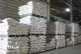 Thị trường xuất khẩu gạo tiếp tục trầm lắng, nhu cầu vẫn yếu khiến giá gạo xuất khẩu giảm nhẹ. (Ảnh: Thanh Bình/TTXVN)