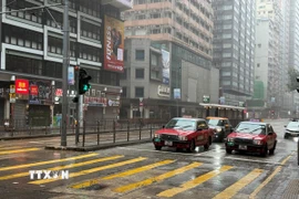 Xe taxi và xe cá nhân vẫn được phép hoạt động trên đường phố Hong Kong. (Ảnh: Mạc Luyện/TTXVN)