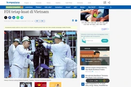 Ảnh minh họa. (Vietnam+)