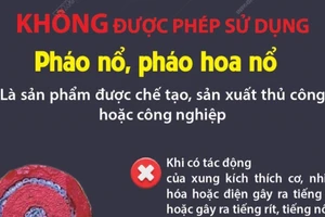 Người dân được sử dụng loại pháo nào? 