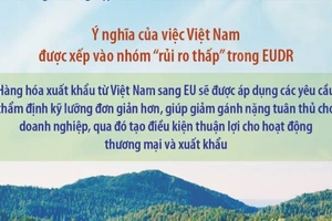 Quy định chống phá rừng của EU: Việt Nam nằm trong nhóm “rủi ro thấp” 