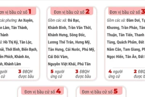 Bầu cử Quốc hội và HĐND: 5 đơn vị bầu cử của tỉnh Cà Mau 