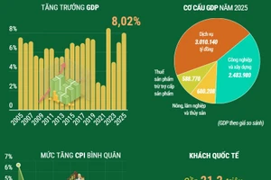 Tổng quan kinh tế Việt Nam năm 2025