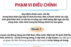 Sửa đổi, bổ sung chính sách, chế độ trong thực hiện sắp xếp tổ chức bộ máy 