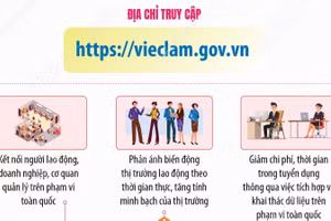 Sàn giao dịch việc làm QG: Thúc đẩy kết nối cung-cầu lao động trên môi trường số