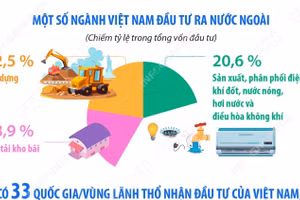 Đầu tư của Việt Nam ra nước ngoài trong 5 tháng năm 2026 đạt 794,6 triệu USD