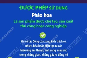 Người dân được sử dụng loại pháo nào trong dịp Tết Nguyên đán? 