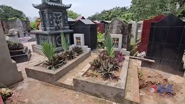 (Ảnh minh họa: TTXVN)