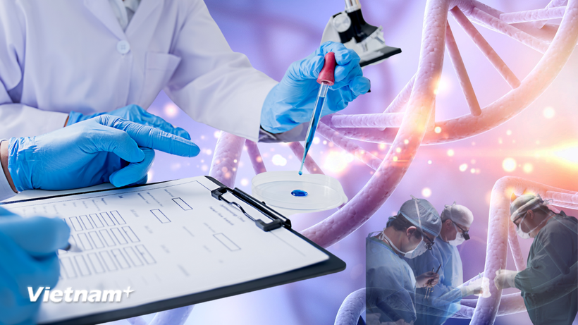 (Ảnh minh họa. Nguồn: Vietnam+)