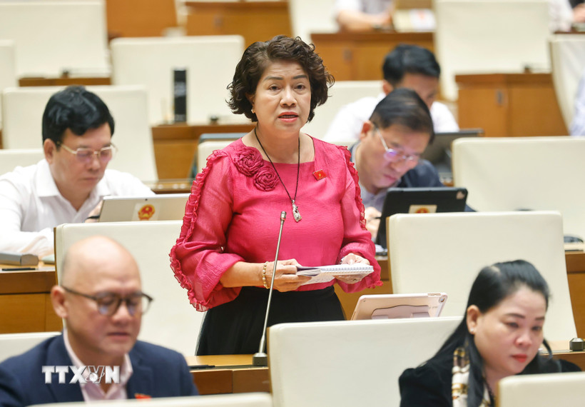 Đại biểu Quốc hội tỉnh Vĩnh Long Nguyễn Thị Lệ Thủy phát biểu. (Ảnh: Doãn Tấn/TTXVN)
