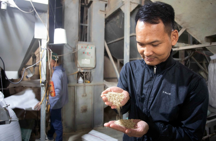 Anh Nguyễn Văn Luân kiểm tra chất lượng sản phẩm. (Ảnh: Thế Duyệt/TTXVN)