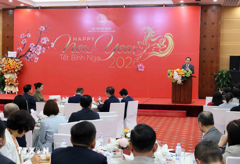 Đồng chí Lê Hoài Trung, Bí thư Trung ương Đảng, Bộ trưởng Bộ Ngoại giao phát biểu tại buổi gặp mặt. (Ảnh: An Đăng/TTXVN)