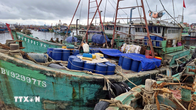 Tàu BV-92997-TS cùng tang vật và các tàu vi phạm khác được neo ở khu vực riêng tại âu thuyền Bắc Trạch, xã Bắc Trạch, tỉnh Quảng Trị. (Ảnh: TTXVN phát)