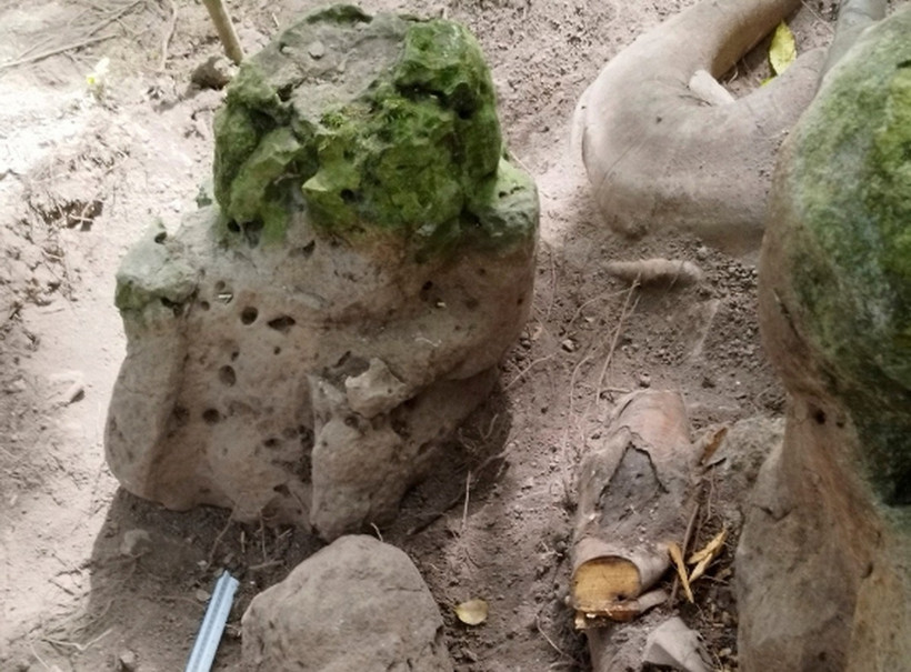 Tàn tích của thành phố cổ. (Nguồn: Science Alert)