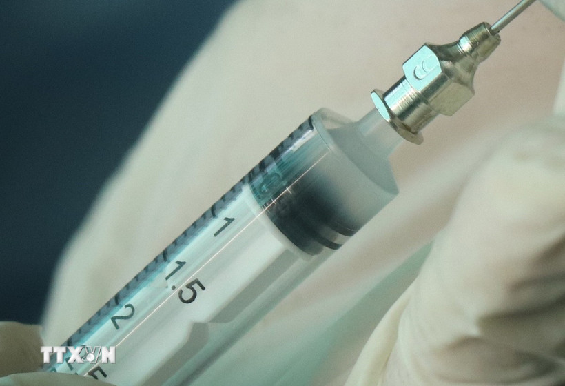 (Ảnh minh họa: Thu Hiền/TTXVN)