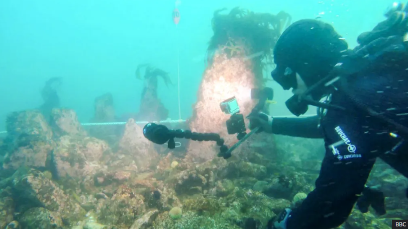 Khám phá bức tường 7.000 năm tuổi dưới biển phía Tây nước Pháp