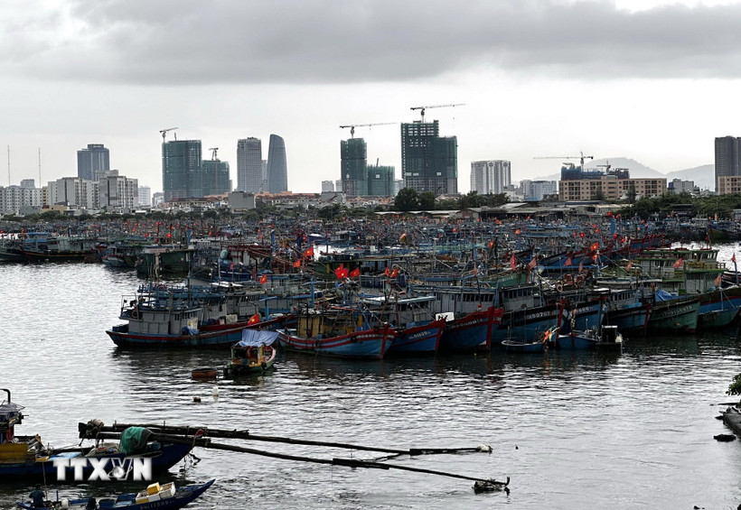 Tàu thuyền ngư dân miền Trung được về neo đậu tránh bão an toàn tại Âu thuyền Thọ Quang (Đà Nẵng). (Ảnh: Trần Lê Lâm/ TTXVN)