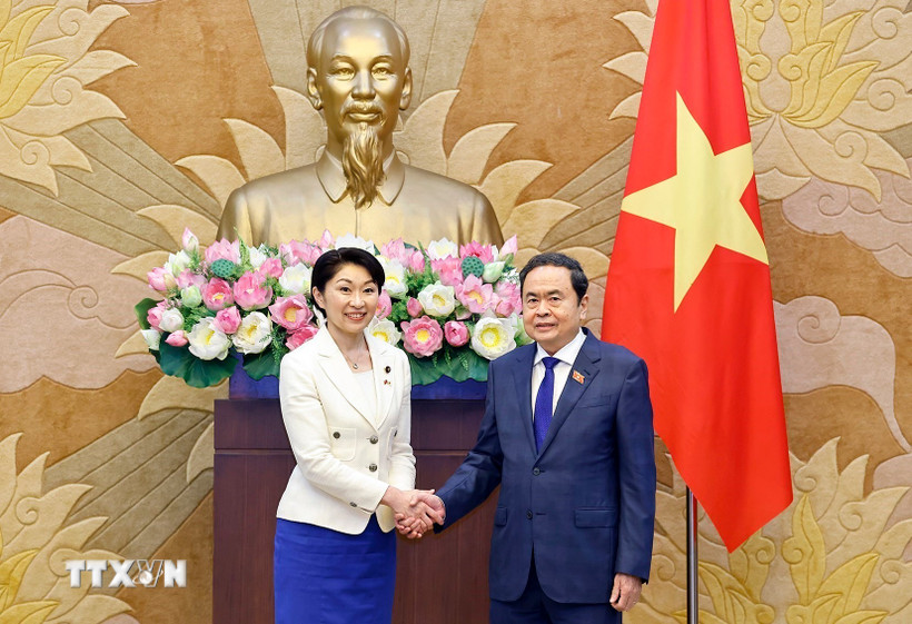 Chủ tịch Quốc hội Trần Thanh Mẫn tiếp bà Obuchi Yuko, Hạ nghị sỹ, Chủ tịch Liên minh Nghị sỹ hữu nghị Nhật Bản-Việt Nam. (Ảnh: Lâm Khánh/TTXVN)