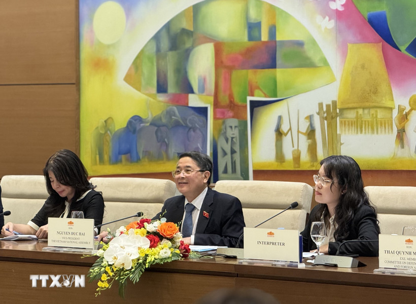 Phó Chủ tịch Quốc hội Nguyễn Đức Hải (giữa) phát biểu tại cuộc tiếp. (Ảnh: Diệp Trương/TTXVN)