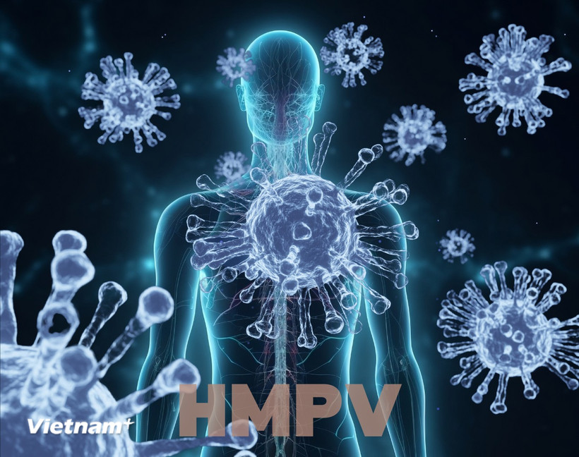 Virus gây bệnh ở người. (Ảnh minh họa. Nguồn: Vietnam+)