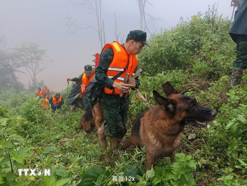 Triển khai lực lượng tìm kiếm nạn nhân mất tích trong vụ sạt lở ở xã biên giới Hùng Sơn với sự hỗ trợ của chó nghiệp vụ. (Ảnh: Bộ Tư lệnh Quân khu 5/TTXVN phát)