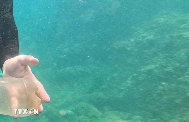 Lặn biển. (Ảnh minh họa: TTXVN phát)