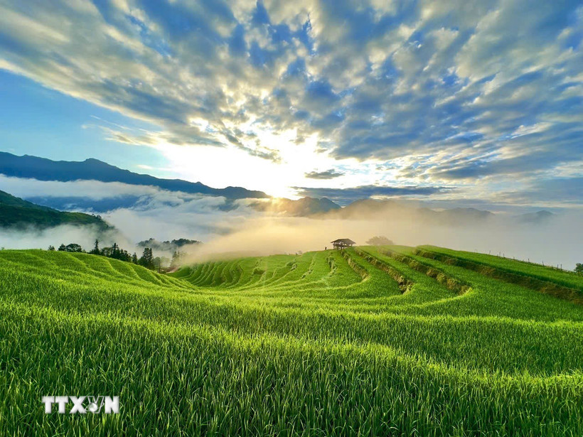 Bình minh lên trên ruộng bậc thang Thông Nguyên (Tuyên Quang). (Ảnh: Triệu Quyên/TTXVN phát)