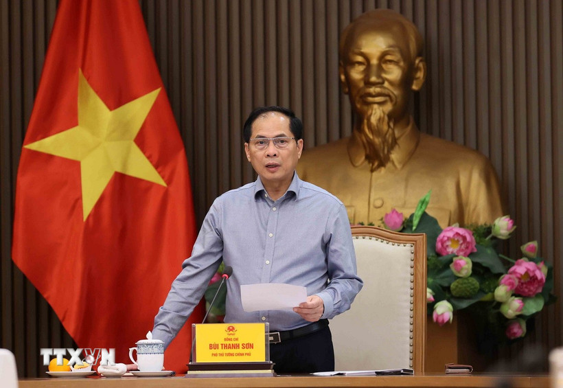 Phó Thủ tướng, Bộ trưởng Bộ Ngoại giao Bùi Thanh Sơn, Trưởng Ban Chỉ đạo quốc gia về ODA và vốn vay ưu đãi phát biểu. (Ảnh: An Đăng/TTXVN)