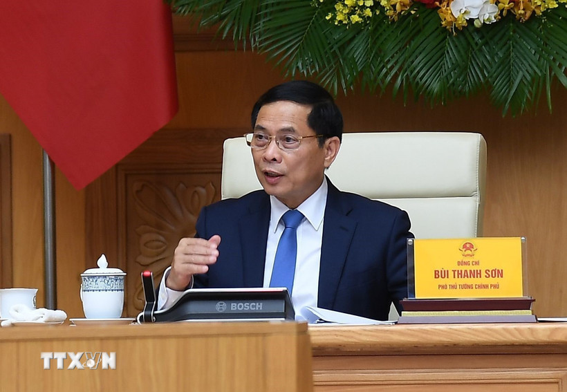 Phó Thủ tướng Bùi Thanh Sơn phát biểu tại buổi tiếp các chuyên gia, nhà khoa học. (Ảnh: TTXVN phát)