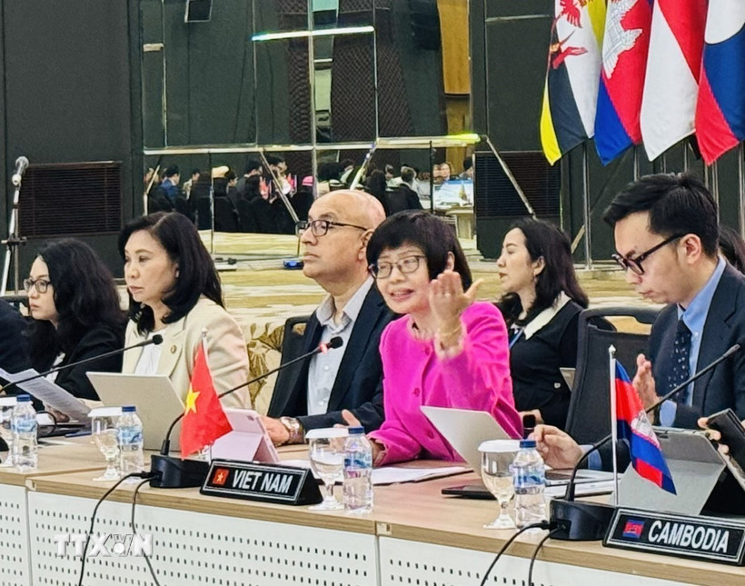 Đại sứ Tôn Thị Ngọc Hương, Trưởng Phái đoàn đại diện thường trực Việt Nam tại ASEAN chủ trì Cuộc họp. (Ảnh: Đỗ Quyên/TTXVN)